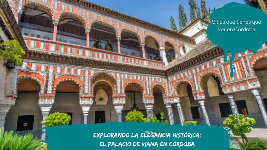 Explorando la Elegancia Histórica: El Palacio de Viana en Córdoba