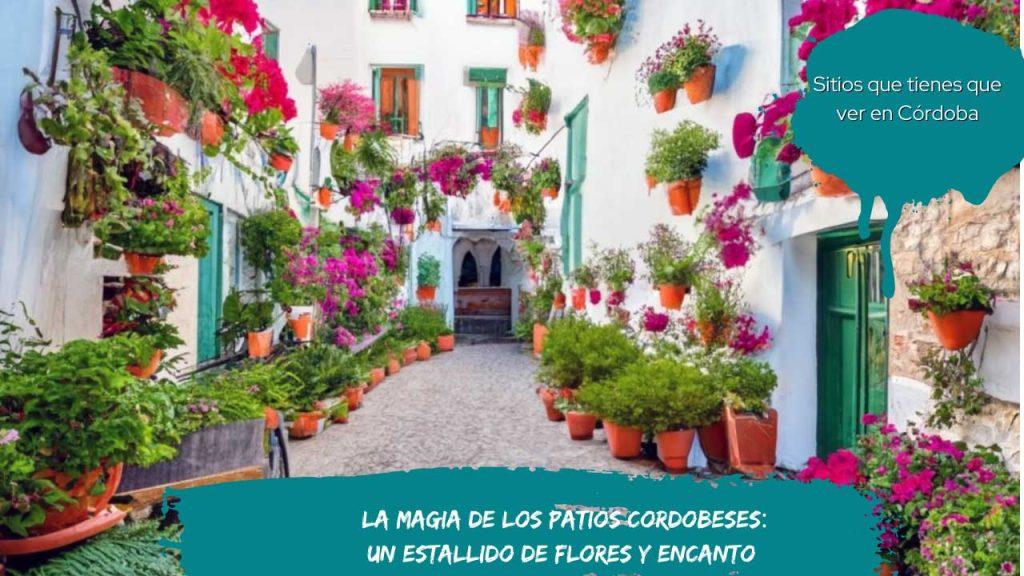 La Magia de los Patios Cordobeses: Un Estallido de Flores y Encanto (Sitios originales en Córdoba)